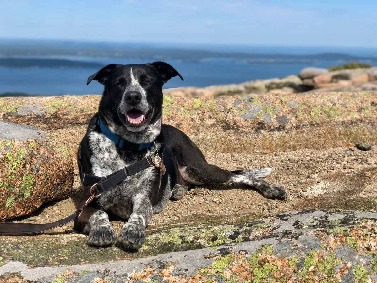 Luke resting after a hike up a mountain