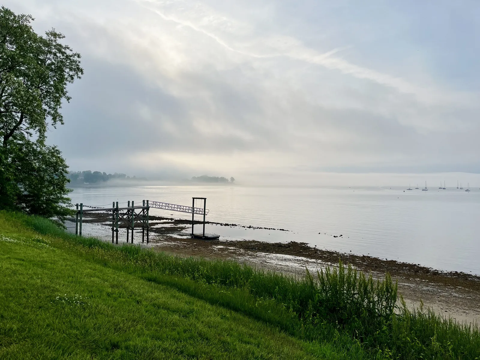 A photo looking out across a bay. In the foreground, we are standing on a grassy hill. There is a thin boat dock extending out into the bay. Across the bay, there is a bit of land that juts out from the left side which is blanketed with fog. A group of sailboats are visible in the distance on the right.